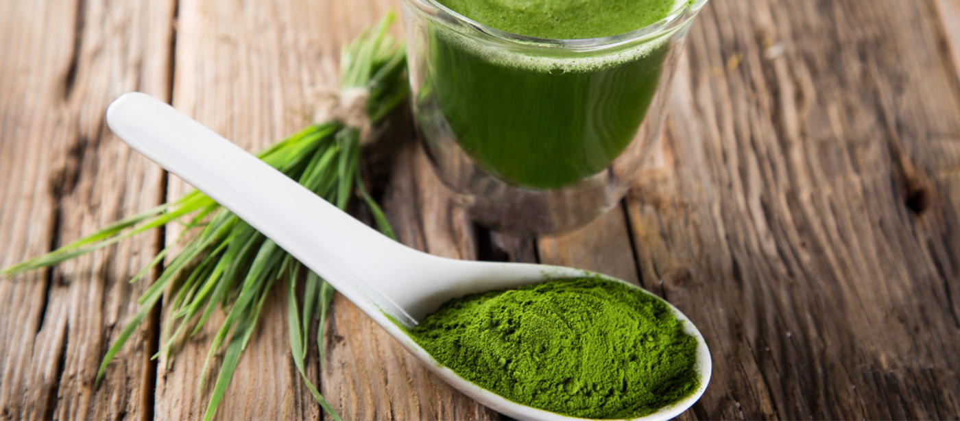 Exploring the Benefits of Spirulina Powder for Your Health